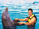 Sea Life Park Dolphin Discovery Swim